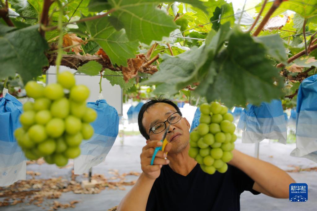 无需入金赠金网